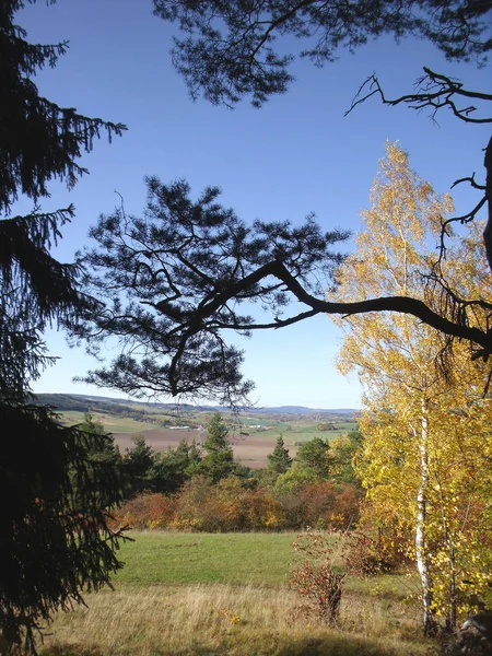 Herbst Landschaft Zweig 2 — Stockfoto