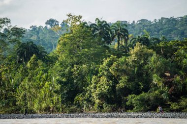 Riverside Tena Amazon