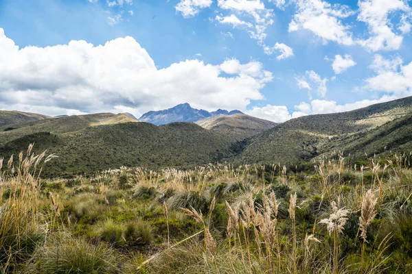 Paesaggio Cotopaxi, Ecuador — Foto Stock