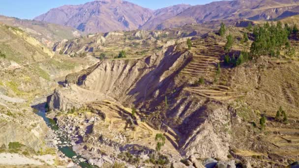 Colca Canyon in the Andean Mountains Peru — Stock Video