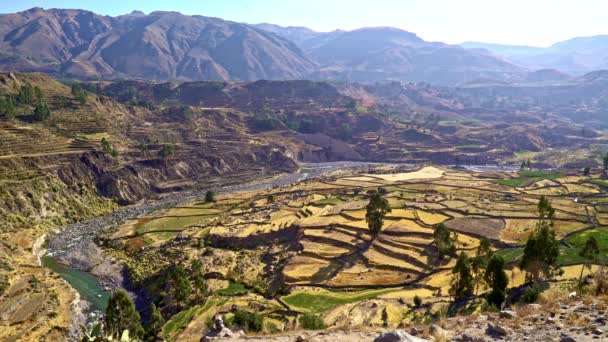 Colca Canyon in de bergen van de Andes in Peru — Stockvideo