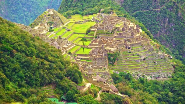 Overzicht van het Machu Picchu, Peru — Stockvideo