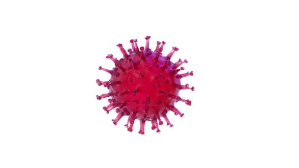 白い背景に変わるコロナウイルス 微生物学とウイルス学の概念 中国病原体呼吸器コロナウイルス2019 Ncov 3Dレンダリング 4Kループビデオアニメーション — ストック動画