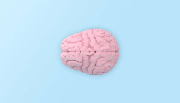Minimal Pink Brain Top View Blue Background Clear Background — Stock Photo, Image