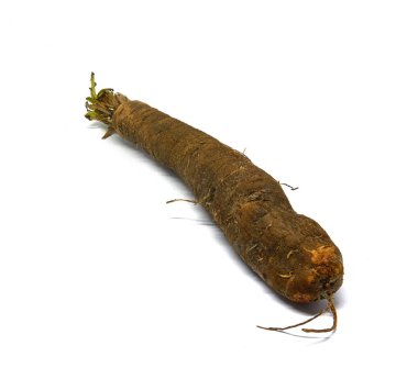 Beyaz arka plan üzerinde taze siyah salsify