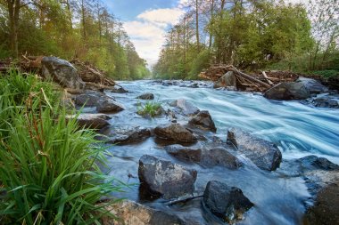 Taşlar ve çim ön planda kayan, pastoral nehirdeki uzun pozlama.