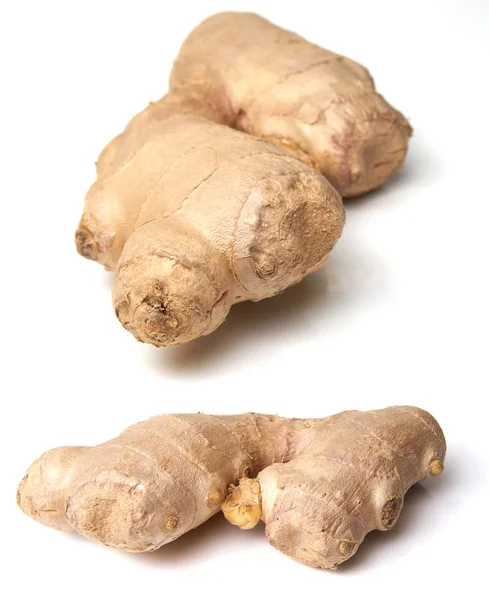 Root ginger isolated on a white studio background. — Stock Photo, Image