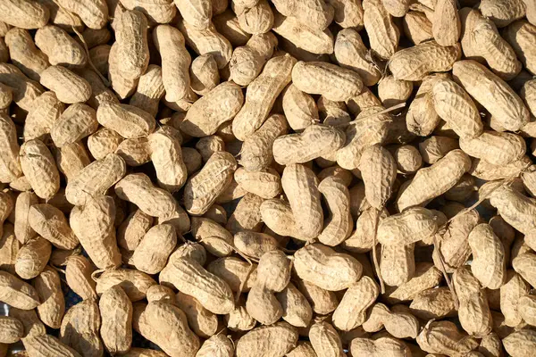 Jordnötter i skal konsistens bakgrunden. Råa jordnötter ovanifrån på en farmers market. — Stockfoto