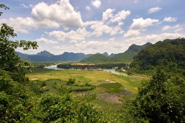 Bir düz ve bir nehir içinde Milli Parkı, Phong Nha Ke Bang, Vietnam için yüksek açılı görünüş.