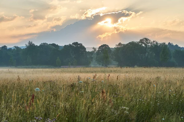 Salida del sol sobre un prado pintoresco con flores naturales. Colores vivos con nubes dramáticas. Wilhelminenaue, Bayreuth, Alemania . — Foto de Stock