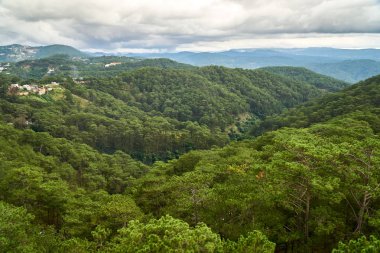 Çam ormanı - yüksek açılı görünüş - Dalat teleferik Truc Lam pagoda için. Dalat, Vietnam. Kopya alanı ile.