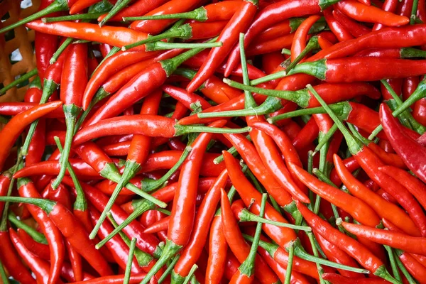 Pimientos rojos ecológicos vista superior - patrón natural o textura . Imagen De Stock