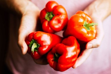 Taze organik kırmızı biber mans eller