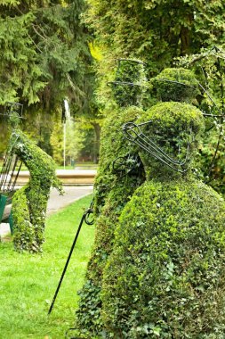 Park şöhret Slovakya Turcianske Teplice içinde.