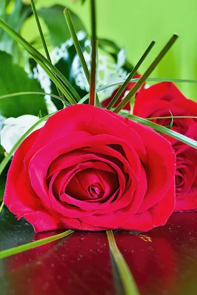 Букет красивих червоних троянд . — стокове фото