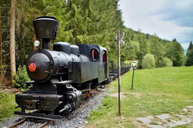 Ciernohronska demiryolu Köyü Cierny Balog, Slovakya. Lokomotif tren istasyonu Cierny Balog içinde.