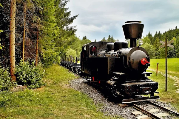 Ciernohronska 村 Cierny Balog、スロバキアの鉄道。Cierny Balog の駅の機関車. — ストック写真