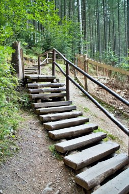 Typical walk in the forest open-air museum in Vydrovo. clipart