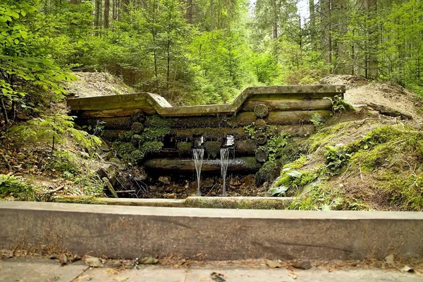 Una pequeña cascada en el museo al aire libre forestal de Vydrovo . —  Fotos de Stock