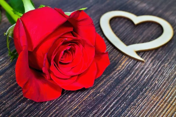 Червона троянда з дерев'яним серцем. Для закоханих. Роза і серце на дерев'яному столі . — стокове фото