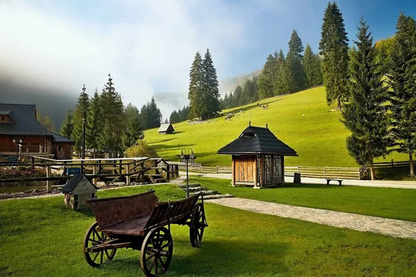 Ruzomberok - Valle de Cutkovska: Un viejo carro de caballos en la zona de entrada al valle de Cutkovska . — Foto de Stock