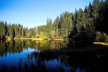 Slovakya Demanovska Vadisi'nde Vrbicke tarn su düzeyinde yansıtma.