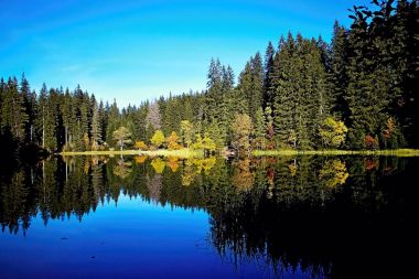 Slovakya Demanovska Vadisi'nde Vrbicke tarn su düzeyinde yansıtma.