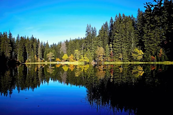 Slovakya Demanovska Vadisi'nde Vrbicke tarn su düzeyinde yansıtma.