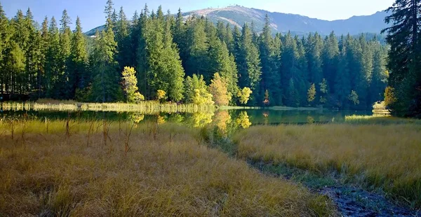Острів з дерева в осінні кольори тла Хопок. Vrbicke озеро в долині Demanovska у Словаччині. — стокове фото