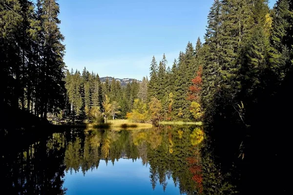 Slovakya Demanovska Vadisi'nde Vrbicke tarn su düzeyinde yansıtma.