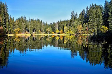 Vrbicke pleso - Slovakya Demanovska Vadisi'nde Vrbicke tarn su düzeyinde yansıtma.