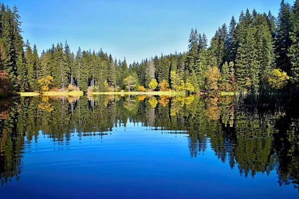 Vrbicke pleso - Slovakya Demanovska Vadisi'nde Vrbicke tarn su düzeyinde yansıtma. — Stok fotoğraf