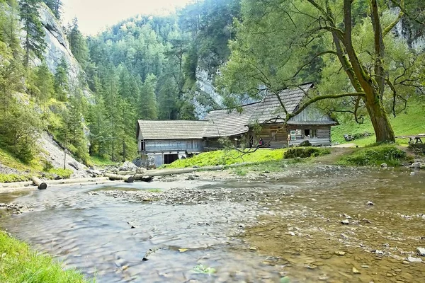 Mlyny - Oblazy budynek drewniany młyn wodny w dolinie Kvacany. — Zdjęcie stockowe