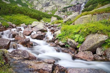 Kayalar ve cüce-çam şelale yüksek Tatras Skok yakınındaki bir dağ nehir su. Güzel Slovakya.