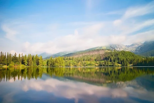 Vysoke Tatry, Strbske Pleso, Slovakya - ağaçlar bir dalış platformu ile su yüzeyinde yansıtma. Güzel Slovakya. Uzun bir süre.