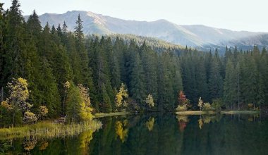 Ağaçlarda sonbahar renkleri ile düşük Tatras arka plan ile bir ada. Slovakya Demanovska Vadisi'nde Vrbicke Gölü.