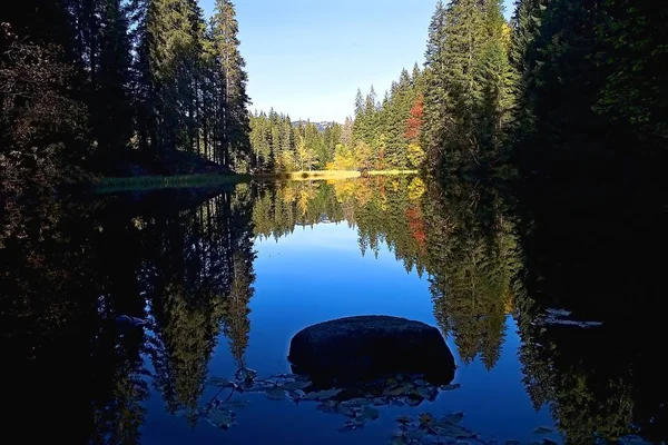 Камінь в середині дерев, віддзеркалення рівень води в озері Vrbicke. — стокове фото