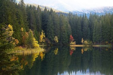 Ağaçlarda sonbahar renkleri ile düşük Tatras arka plan ile bir ada. Slovakya Demanovska Vadisi'nde Vrbicke Gölü.