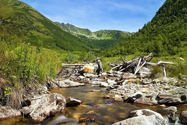 Kamienie w górskiej rzece w środku Ziarska Dolina na Słowacji. — Zdjęcie stockowe