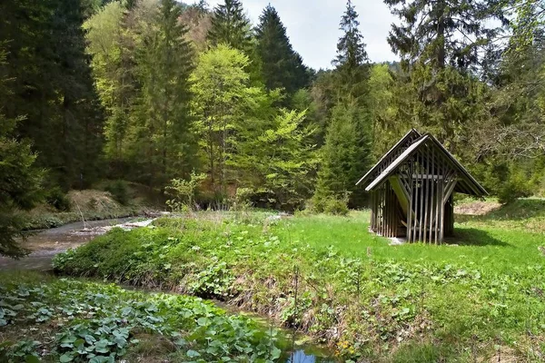 Cratch büyük Fatra Gader vadisinde orman hayvanları için.