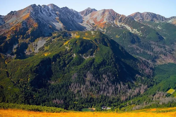 Západní Tatry, Rohacké údolí: Vrcholy Tri kopy, Hruba kopa, Pachola, Spalena a Banikov jako součást hlavního hřebene Rohace. — Stock fotografie