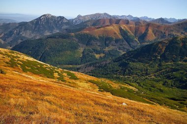 Batı Tatras: Volovec yolunda. Slovakya 'daki Volovec zirvesinden güzel bir manzara.
