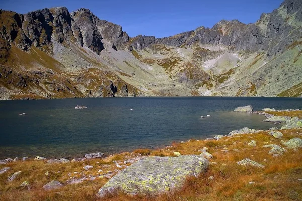 Una grande pietra ai margini del grande lago di Hincove negli Alti Tatra . — Foto Stock