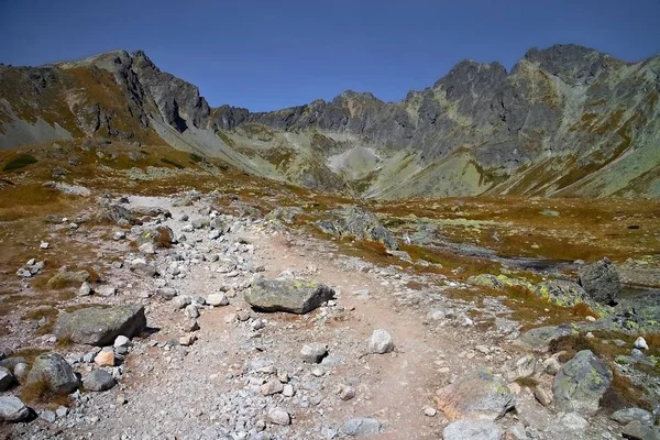 High Tatras 'taki Hincove göllerine giden taş yol.. — Stok fotoğraf