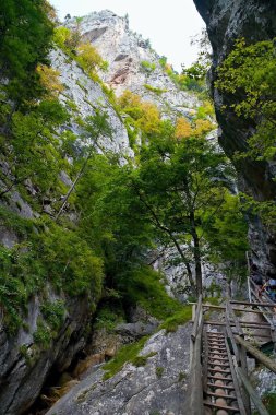 Mixnitz - Avusturya, Bear Gorge. Yürüyüş için favori hedef.