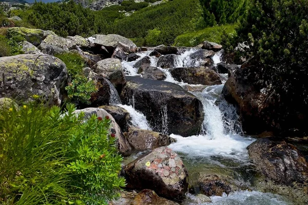 Piedras en el arroyo de montaña que fluye bajo la cascada Skok en el valle de Mlynicka . — Foto de Stock