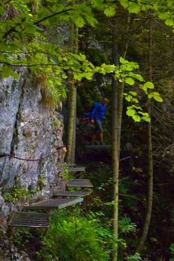 Özel merdivenler ve diğer engeller Slovak Paradise Ulusal Parkı 'ndaki çekici turizmin bir parçası. Güzel Slovakya.