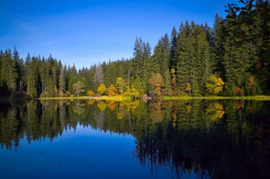 Slovakya 'daki Demanovska Vadisi' ndeki Vrbicke gölünün su seviyesinde yansıyor..