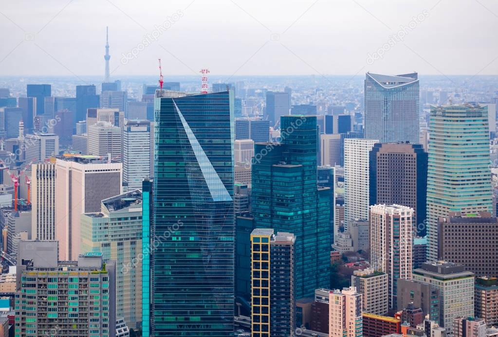 View of Tokyo skyline 