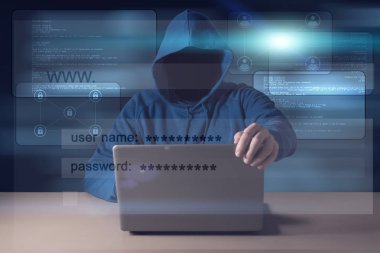 Bilgisayar korsanı veri--dan laptop çaldı. 